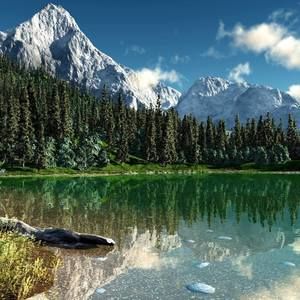 Meet your Posher, Rose